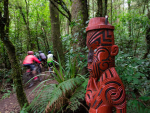Timber Trail Pou at Pureora