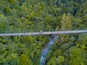 Timber Trail suspension bridge