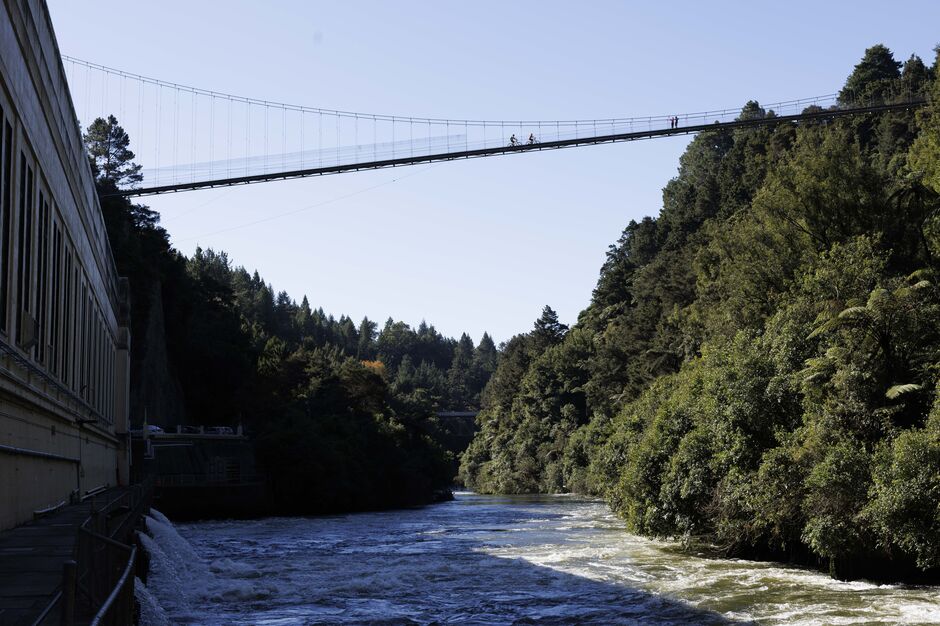 View of the Waikato river and suspended bridge 
