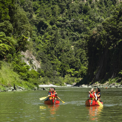Canoeing Whanganui River