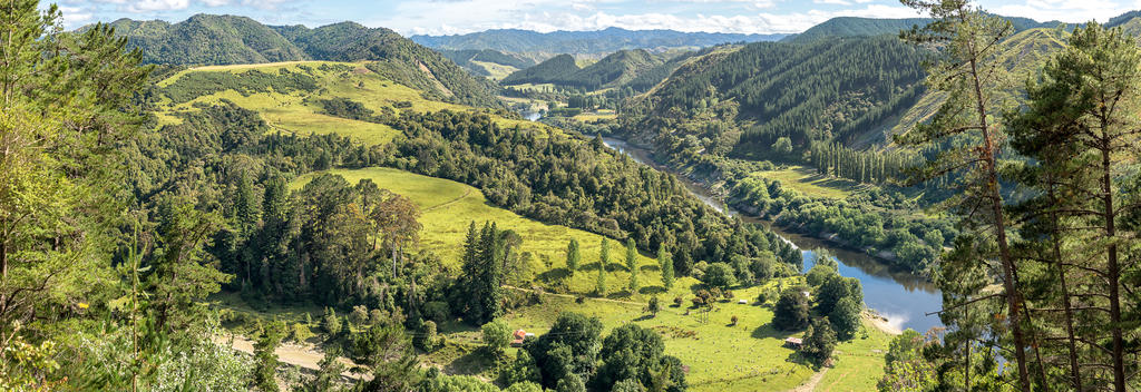 Whanganui River Road Pano View