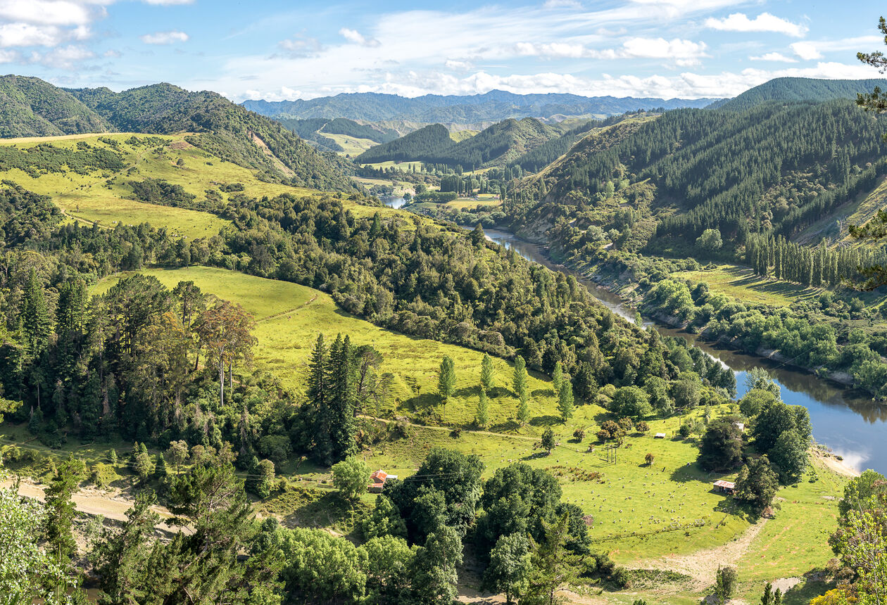 Paddle down the Whanganui River for a memorable trip through a wildly beautiful national park. Find out more about New Zealand's only water based Great Walk, the Whanganui Journey.