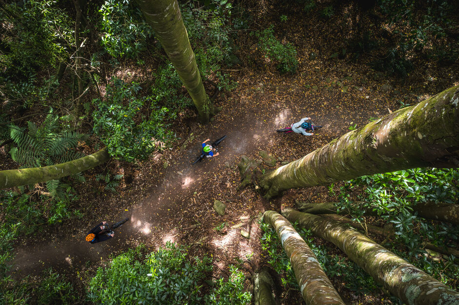 Hutt River Trail