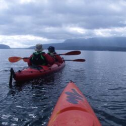 Kayaking Lake Tarawera