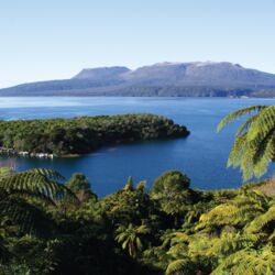 タラウェラ湖、ロトルア