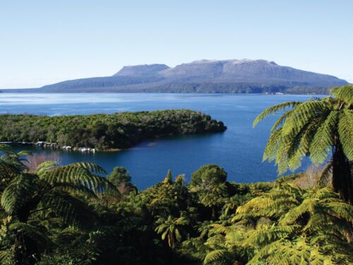 タラウェラ湖、ロトルア