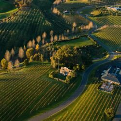 Black Barn Vineyards