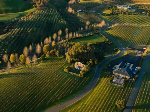 Black Barn Vineyards