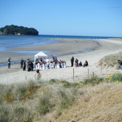 wedding on beach