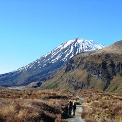 The Start of the Tongariro Alpine Crossing, Let Adventure Lodge take care of you