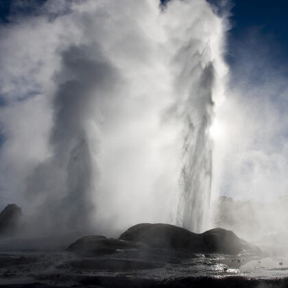 Te Puia&#039;s &quot;Pohutu&quot; Geyser at its finest