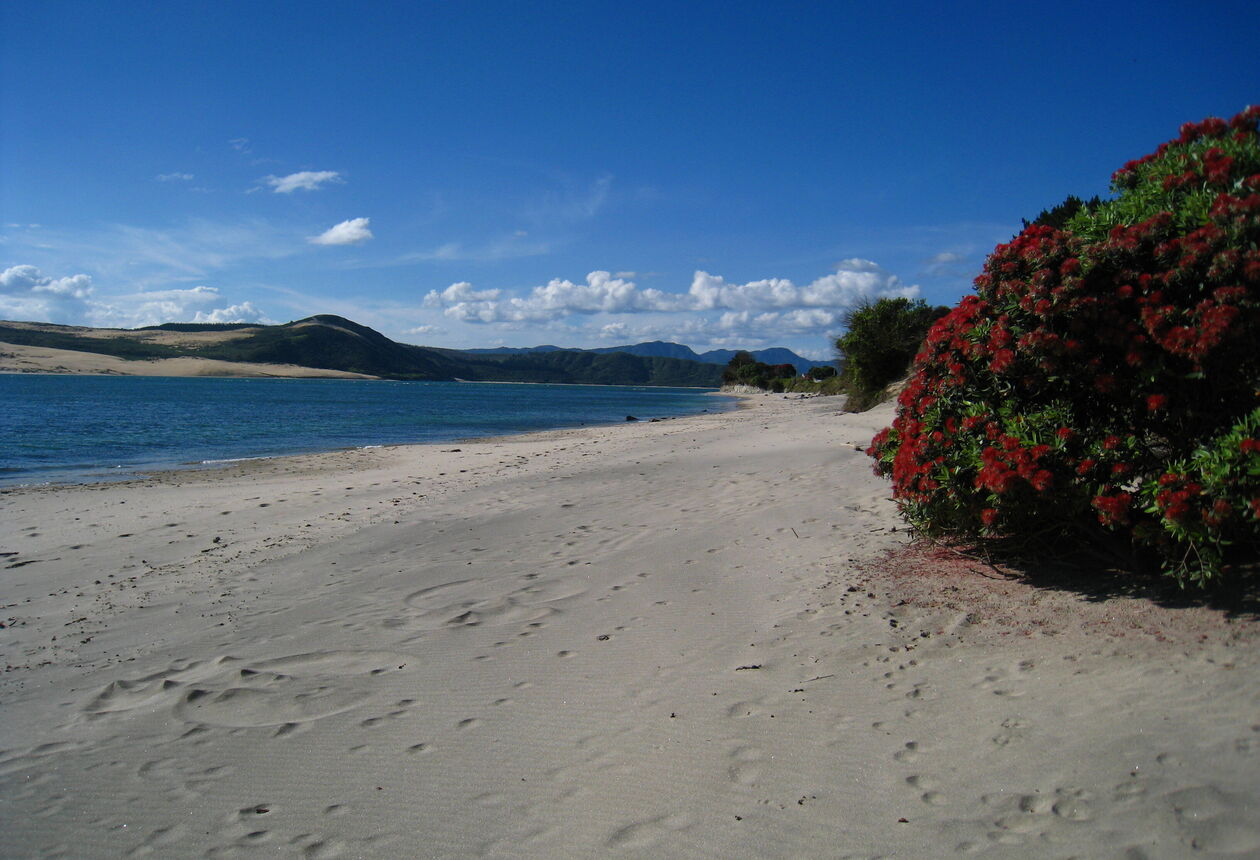 한적하고 편안한 오마페레와 오포노니는 해변의 여유를 그대로 느낄 수 있는 곳이다.