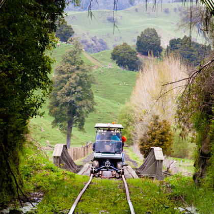 Every shade of green is framed by the tunnel entrance.