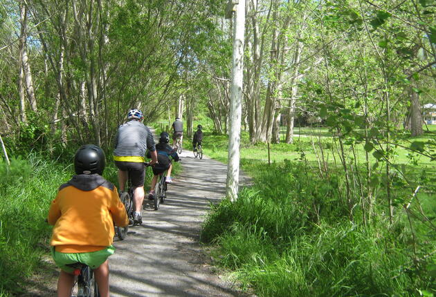 Take a break in Waikanae to discover the nature reserve. Pathways allow you to explore the swamp forest habitat and the eels are fed at 2pm.