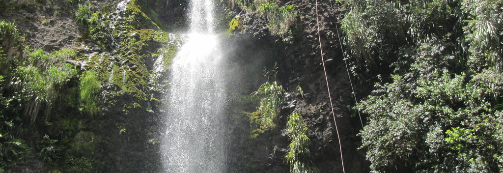 No experience necessary, you can jump right into your Auckland canyoning adventure amidst coastal subtropical rainforest only 40mins from Auckland CBD