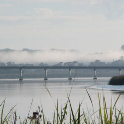 The bridge over the Northern Wairoa River, Dargaville, Kauri Coast, Northland, New Zealand