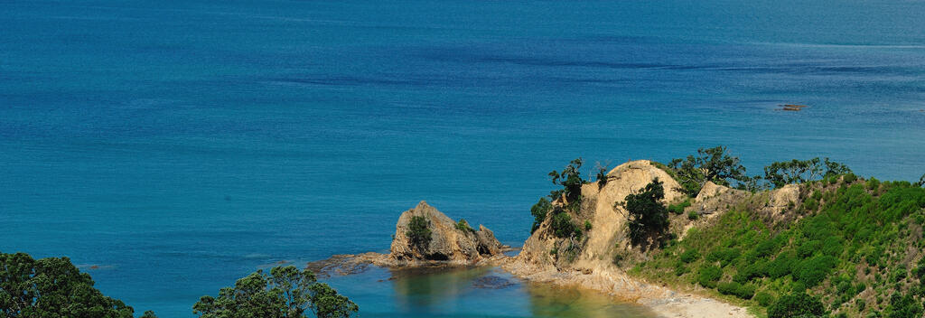 D:\ColdFusion11\cfusion\runtime\work\Catalina\localhost\tmp\DSC_2013 MED Rotoroa Island