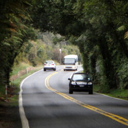 Driving through the Fitzgerald Glade