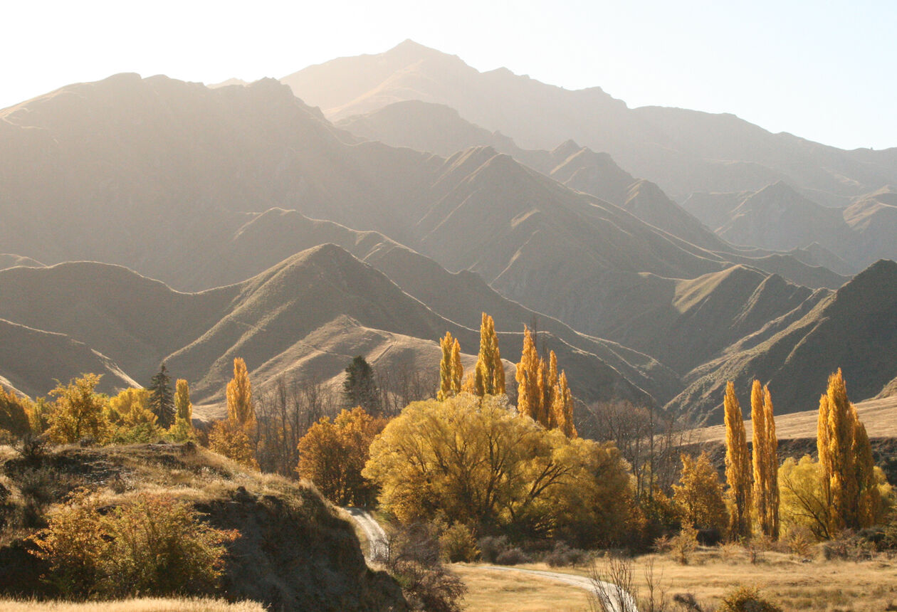 This scenic trail through the flinty hills of the Southern Lakes transports riders back in time to Macetown, a relic-strewn gold mining ghost town.