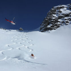 Try heli-skiing in the Southern Alps for the ultimate snow experience.