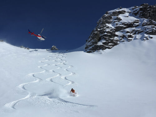 Try heli-skiing in the Southern Alps for the ultimate snow experience.