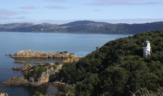 Matiu Somes Island
