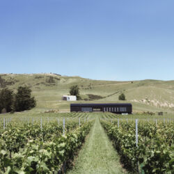 Black Estate Cellar Door &amp; Restaurant, overlooks their organic vineyard, Waipara Valley to the Southern Alps.