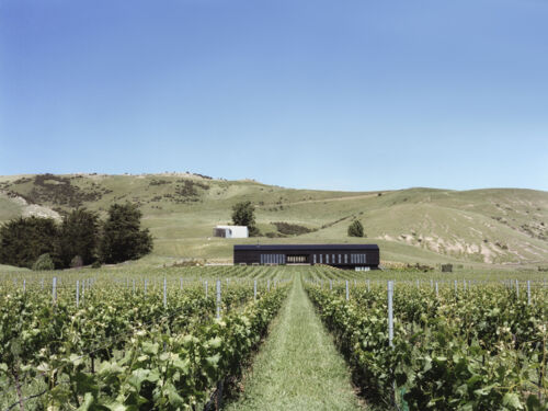 Black Estate Cellar Door &amp; Restaurant, overlooks their organic vineyard, Waipara Valley to the Southern Alps.