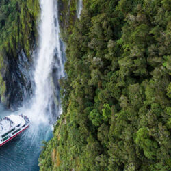 Southern Discoveries Coach &amp; Cruise