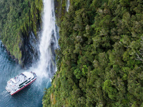 Southern Discoveries Coach &amp; Cruise