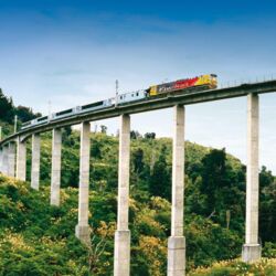 노던 익스플로러가 하푸아훼누아 고가교와 같은 고가교를 통과할 때 높은 곳에서 바라보는 절경을 만끽할 수 있다.