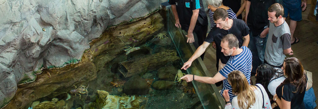 Visit the National Aquarium