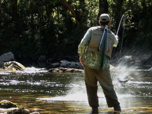 Fly Fishing Fiordland
