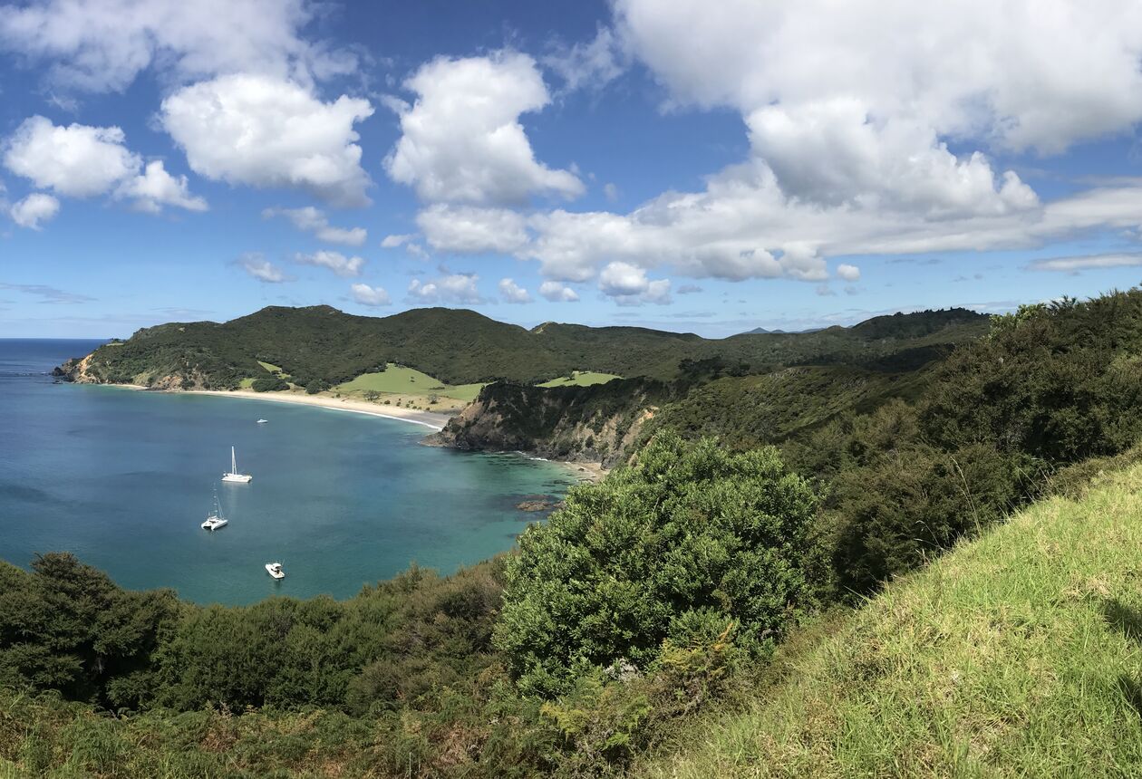 그레이트배리어섬 – 별 관측을 좋아하는 사람들을 위한 최고의 여행지. 숲과 해변, 만 등의 대자연에서 다양한 모험을 즐길 수 있다.