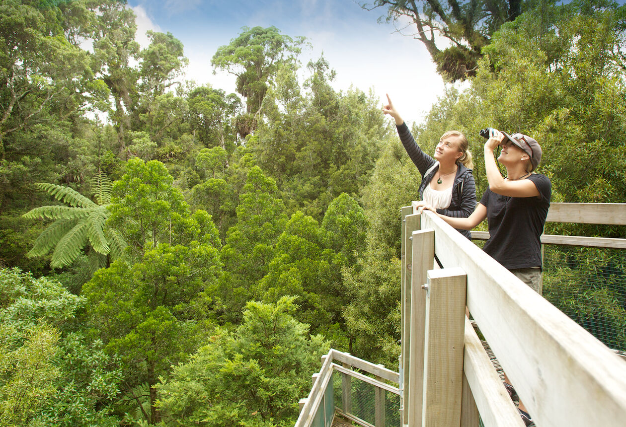 This totally unique experience allows visitors to get up close to New Zealand’s native flora and fauna in natural, self-sustaining forest surroundings.