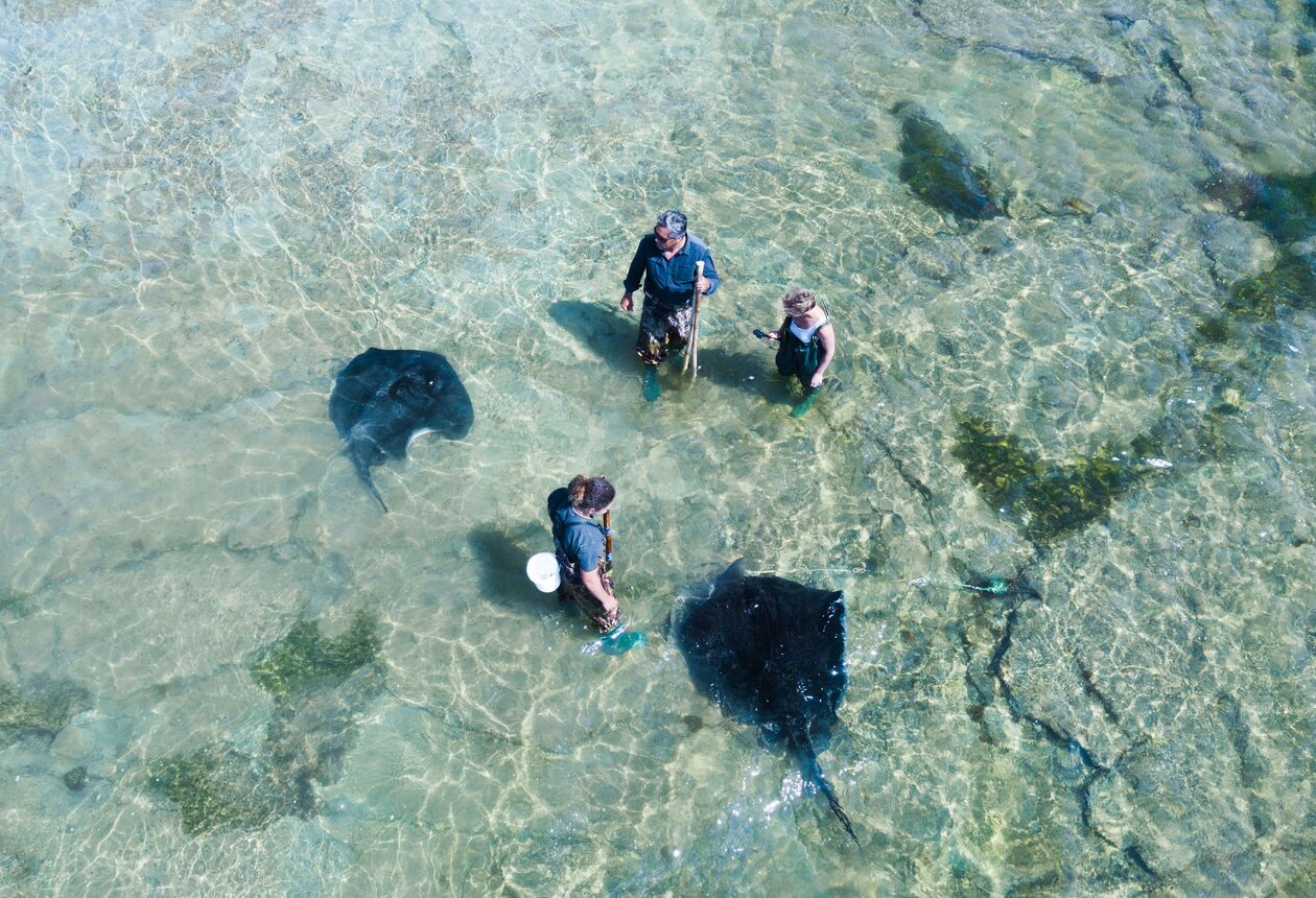 Take the State Highway 35 road trip around the East Cape to find secluded beaches and charming coastal villages.