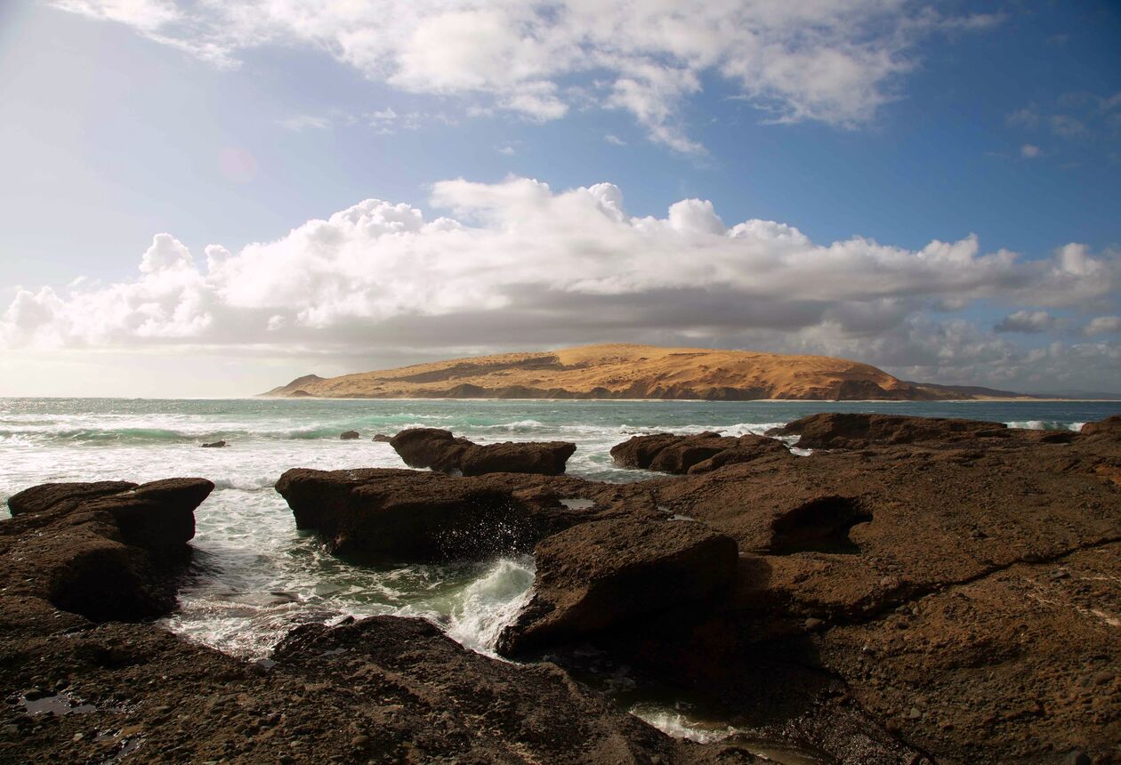 Māori were the first inhabitants of Aotearoa New Zealand, guided by Kupe the great navigator. Learn more about the arrival of Māori. 