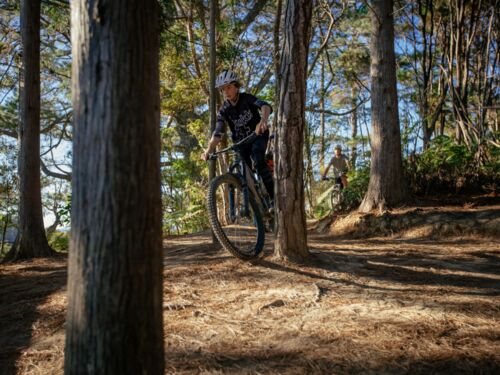 Riding in the Waitangi Mountain Bike Park