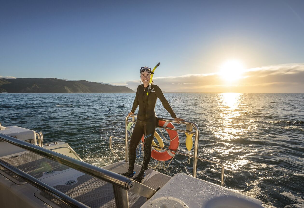 Plan your trip and find your perfect itinerary around New Zealand. You can explore the North Island, South Island, or both with our detailed itineraries. 