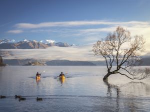 Enjoy an early morning paddle on Lake Wānaka
