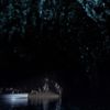 Experience glow worms, underground rivers and more at the Waitomo Caves, located in the Hamilton - Waikato region just 2 hours 40 minutes from Auckland.