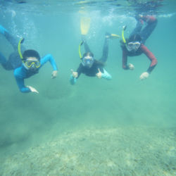 Goat Island Marine Reserve