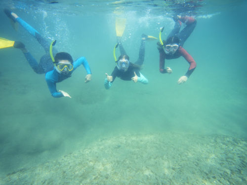 Goat Island Marine Reserve