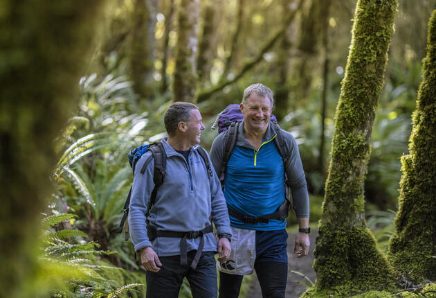 Guided tours and packages can be great value for money and are an enjoyable way to holiday in New Zealand.