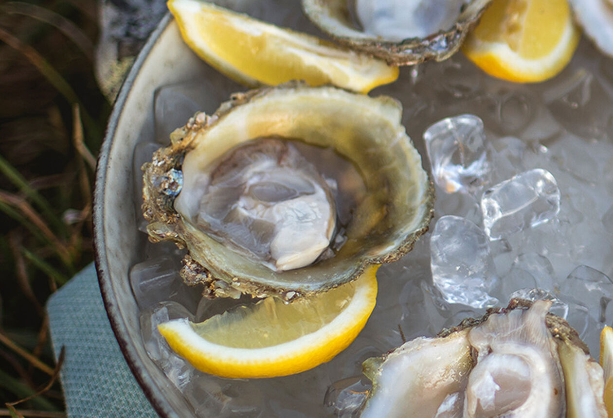 はじめての海外グルメ旅は、ニュージーランドで。カフェも、ワインも、レストランも。食べきれないほど、食べたい！だらけ。