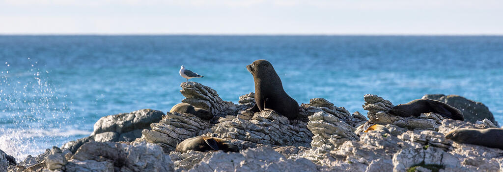 カンタベリー地方