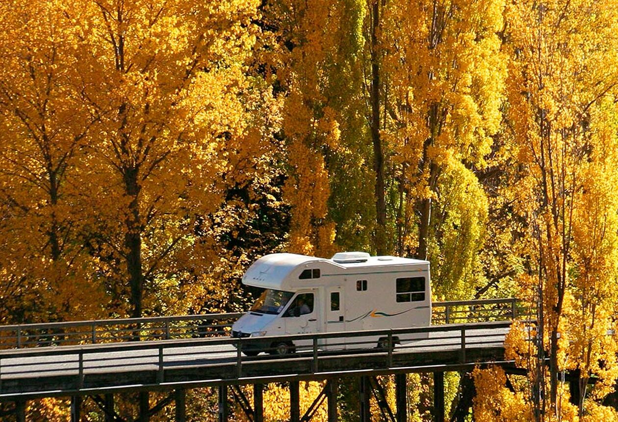 はじめての海外グルメ旅は、ニュージーランドで。カフェも、ワインも、レストランも。食べきれないほど、食べたい！だらけ。