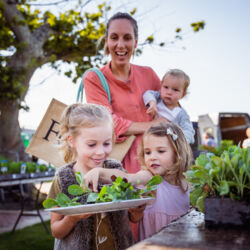 Feilding Farmers Market 