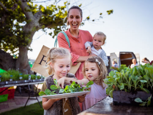 Feilding Farmers Market 