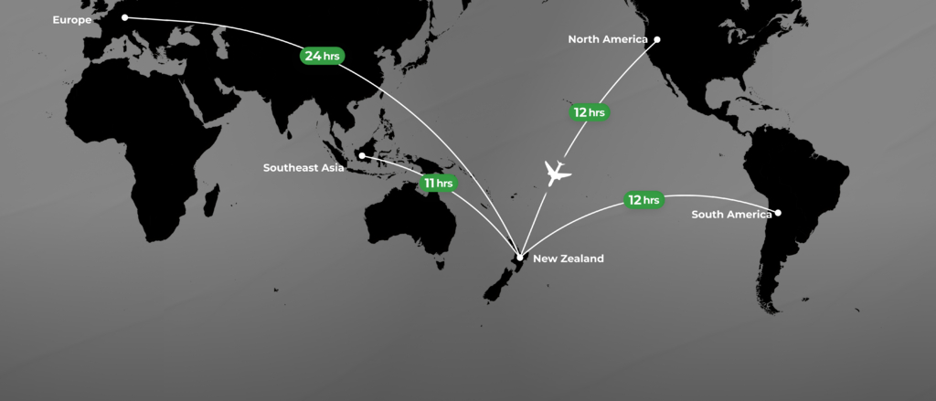 International flight map